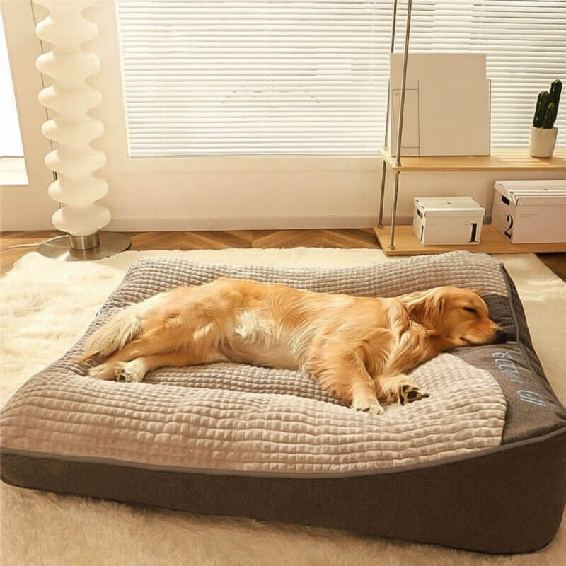 Large Orthopedic Dog Bed with Scratch-Resistant Design for Spinal Support