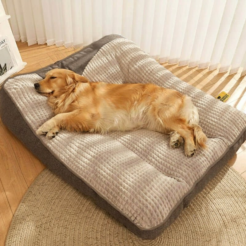 Large Orthopedic Dog Bed with Scratch-Resistant Design for Spinal Support