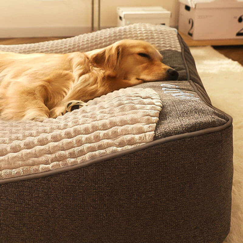 Large Orthopedic Dog Bed with Scratch-Resistant Design for Spinal Support