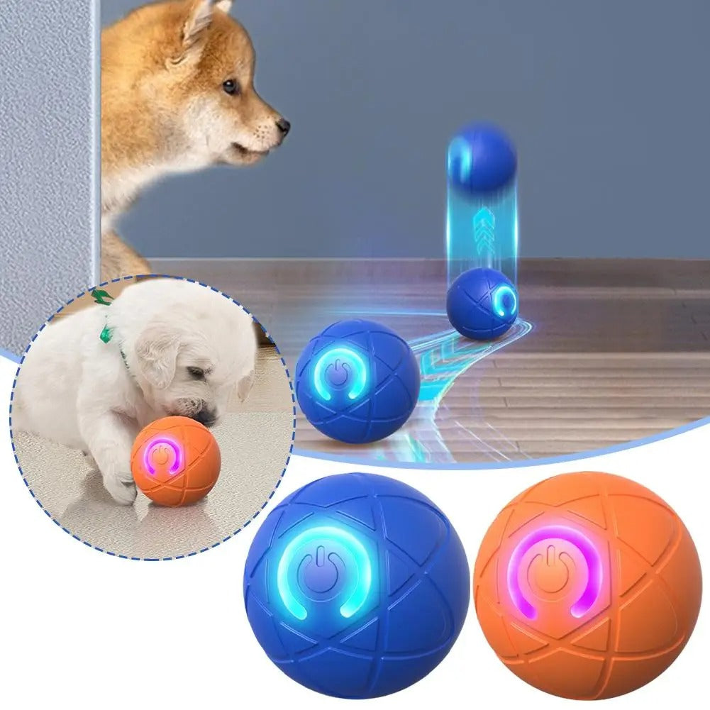 Endless Fun Pet Ball for Dogs and Cats