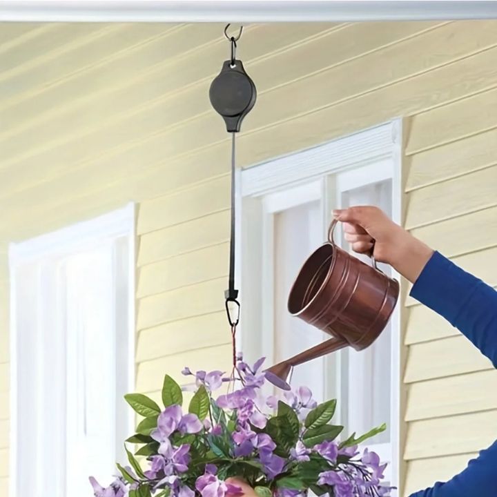 2+2 Free | Simple Plant Hanging Set