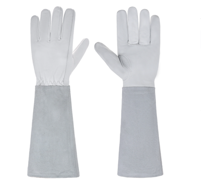 Hand Protection for Pain-Free Handling of Roses