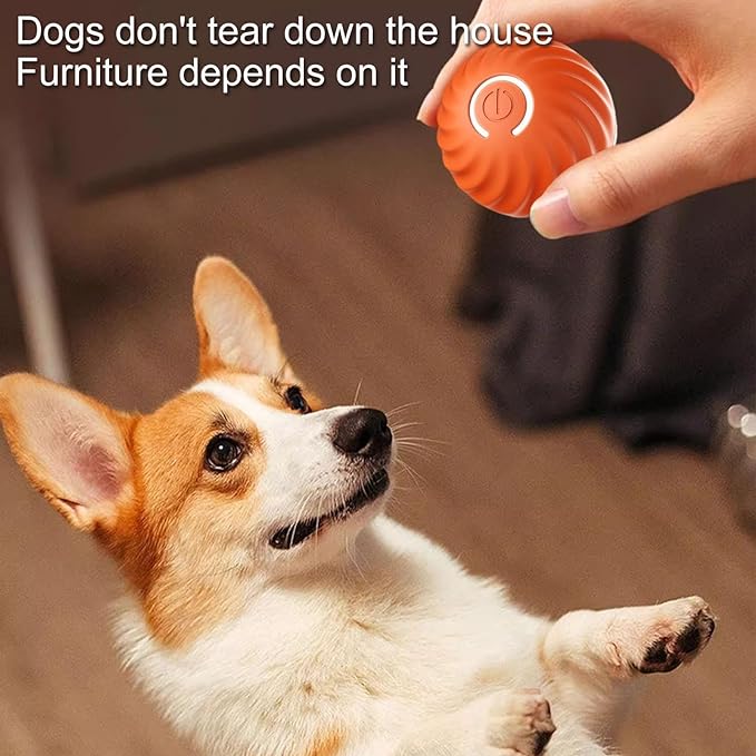 VitaPounce™ — Ignite Your Dog’s Wild Instincts with Endless, Hands-Free Play