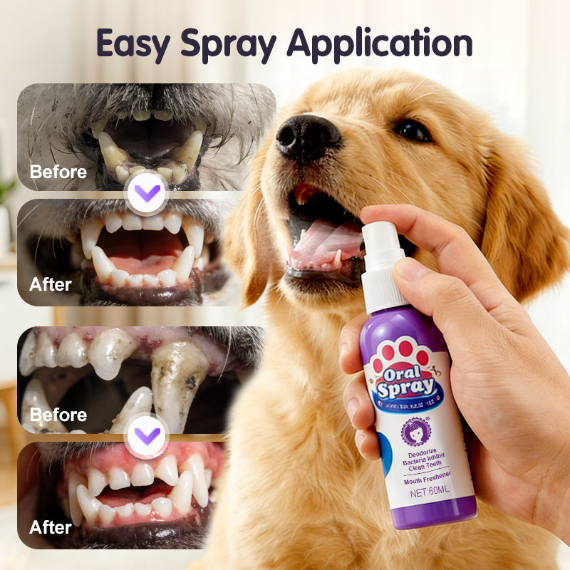 FreshPaws™ — Effortless Fresh Breath and Sparkling Smiles for Happier Pets