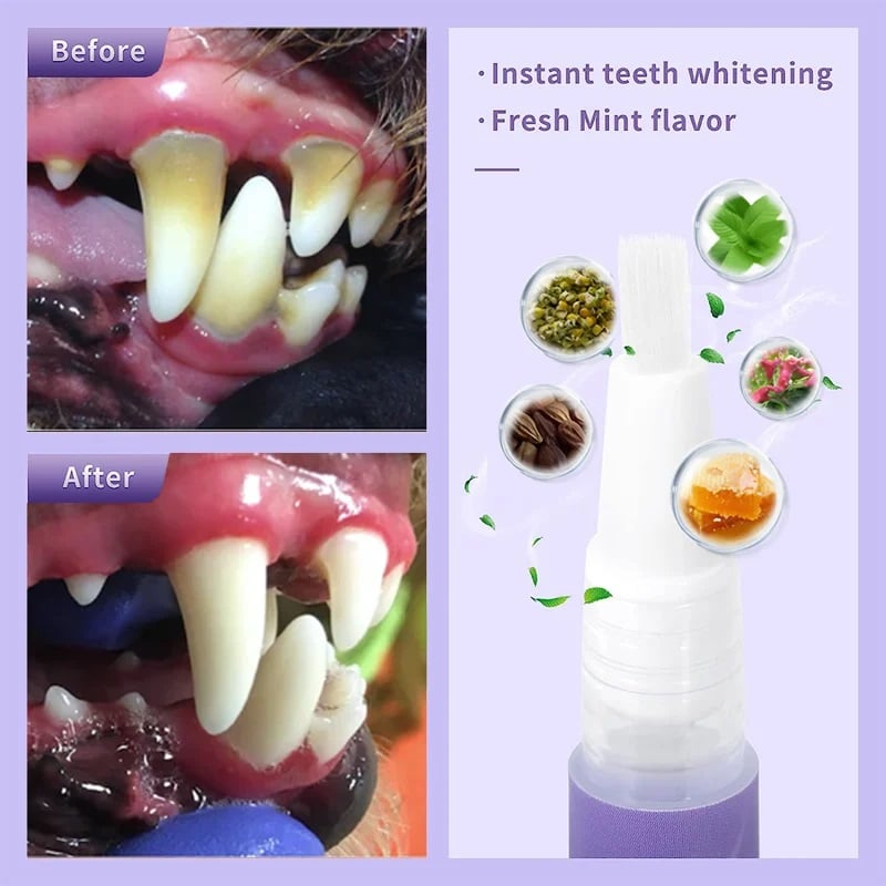 OralGlow™ — Bright Smile, Fresh Breath Quickly | Buy 1 Get 1 Free