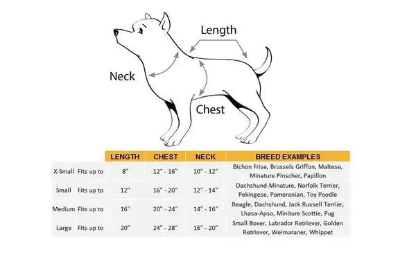 PhantomCharm™ — Turn Your Pet Into the Irresistible Halloween Showstopper Everyone Loves