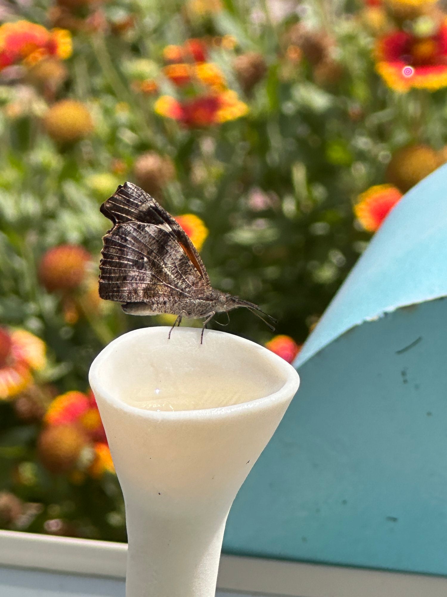 Bee Cups for a Vibrant Garden – Attract Pollinators and Enjoy Mosquito-Free Freshness