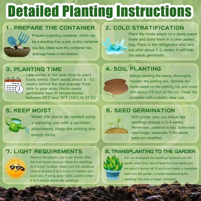 ShadeWhisper™ — Transform Hidden Shadows into Lush, Vibrant Garden Sanctuaries