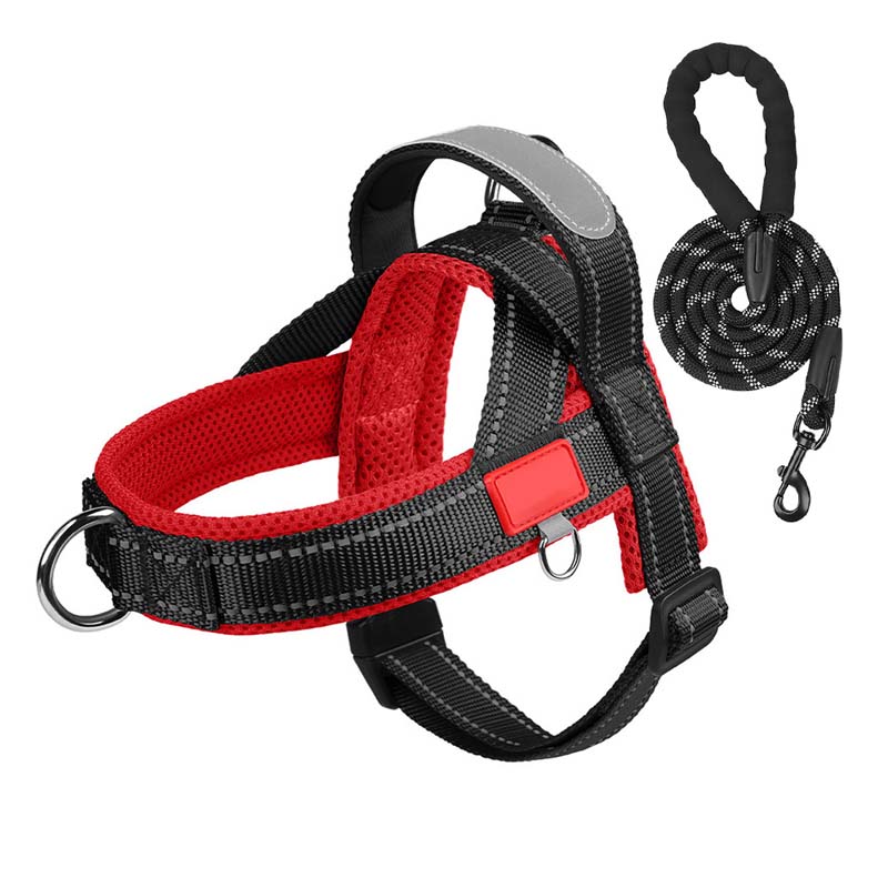 Comfort Harness for Dogs – Easy Wear and Unrestricted Freedom