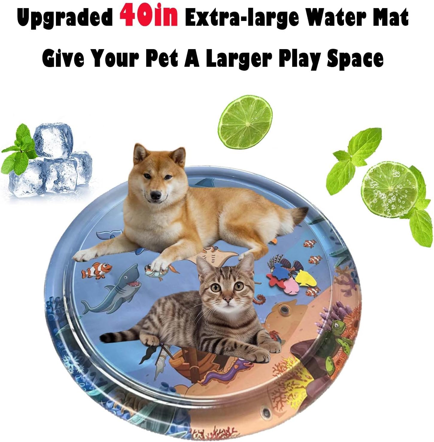 SplashPad™ — Unleash Your Cat’s Wild Side with Endless Cool, Hunt-and-Play Fun