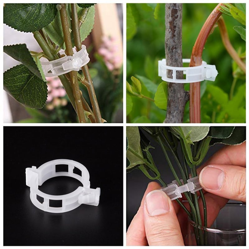VerduraClips™ — Transform Your Garden with Triple-Speed, Damage-Free Growth