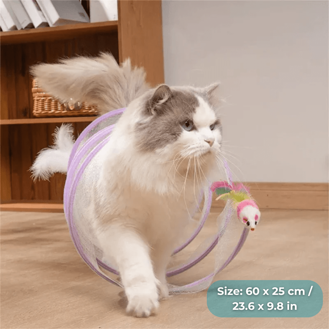 WhiskerWander™ — Ignite Your Cat’s Wild Play and Peaceful Home in Seconds