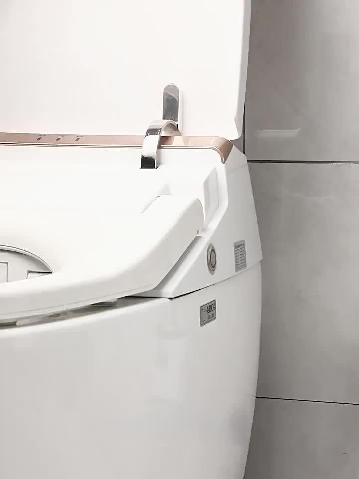 Toilet Brush with Wall Mount Holder