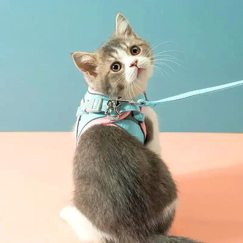 Comfort Harness for Cats - VeloraPaw Style