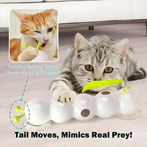 Carnivor™ — Ignite Your Cat’s Wild Instincts for Non-Stop Play and Sharp Focus