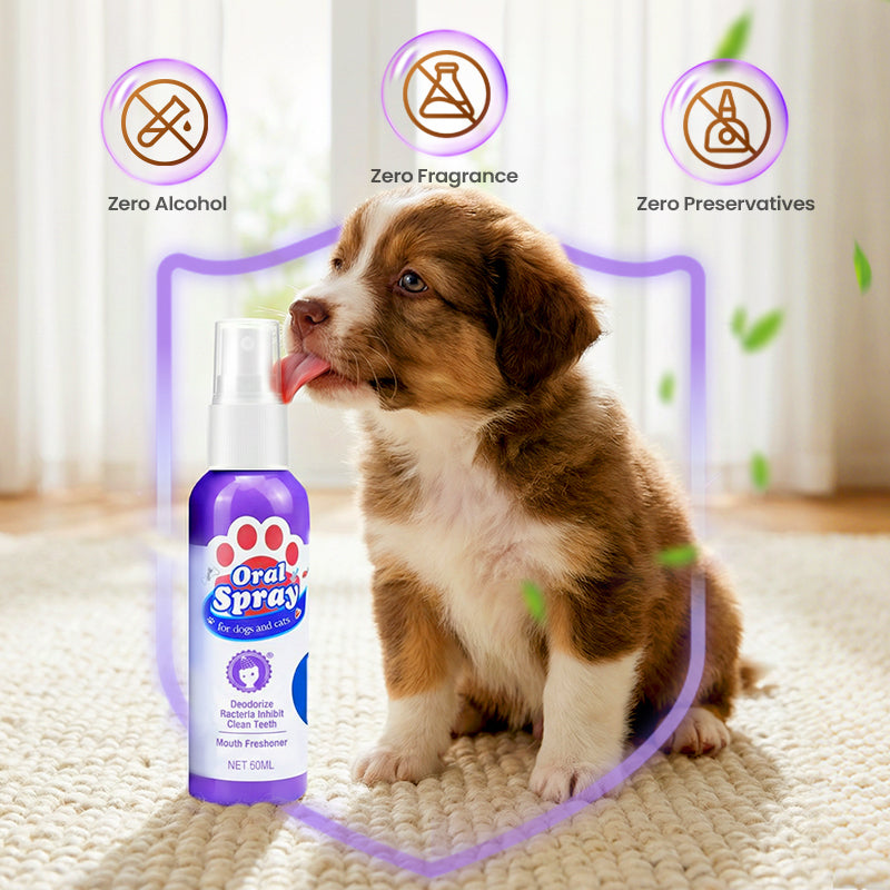 FreshPaws™ — Effortless Fresh Breath and Sparkling Smiles for Happier Pets