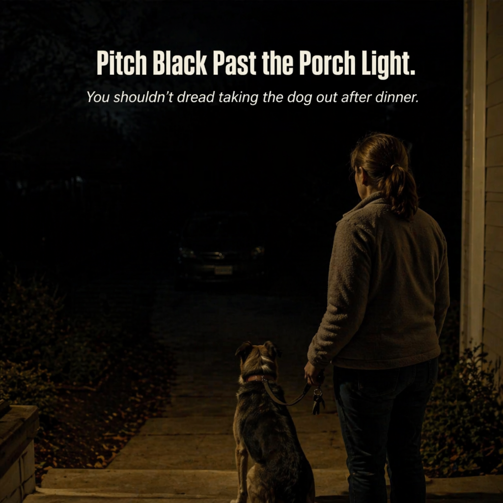 LumaRay™ — Flood Every Dark Corner With 270° of Motion-Sensing Solar Light
