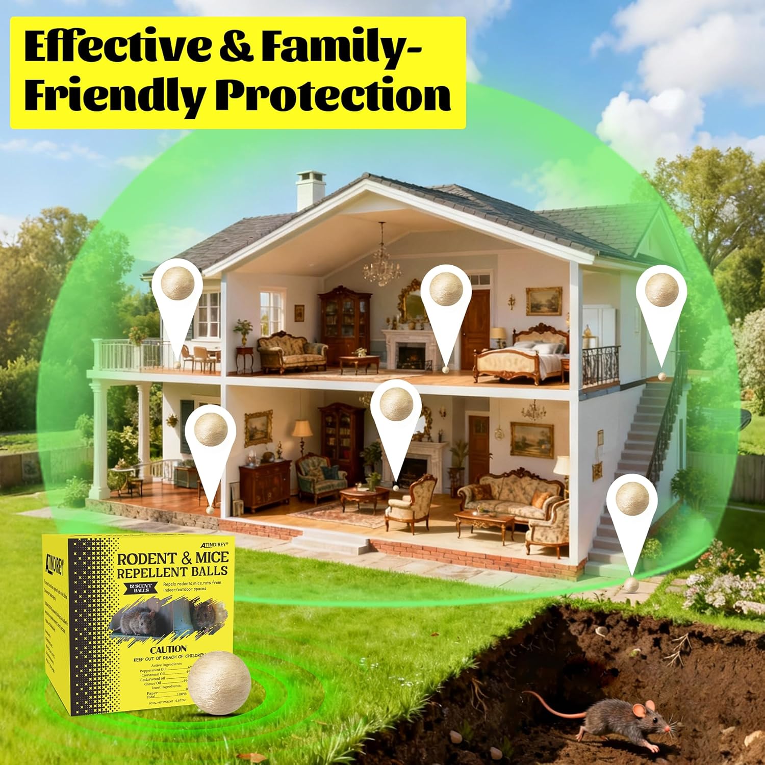 Natural Rodent Protection for a Pest-Free and Worry-Free Home