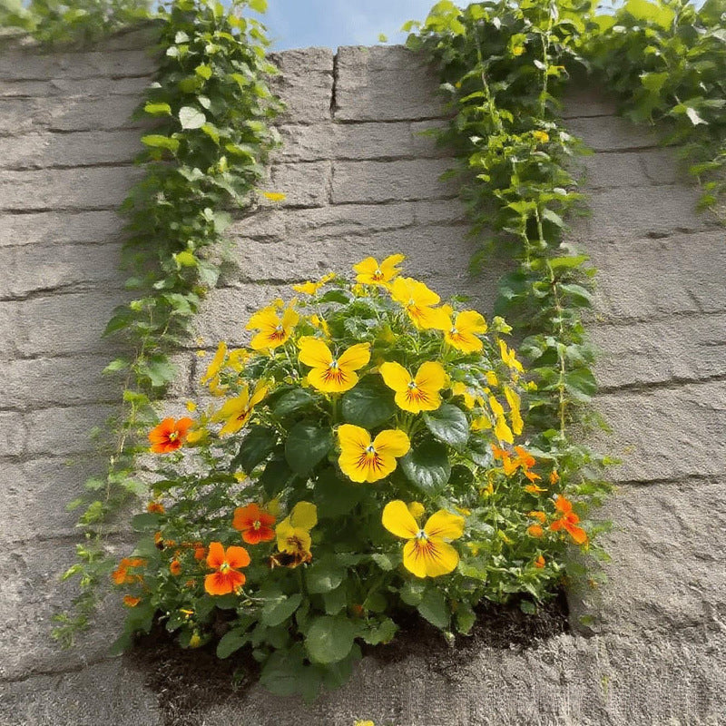 FlutterMuse™ Butterfly Bloom Seeds — Transform Your Garden into a Magical Butterfly Wonderland