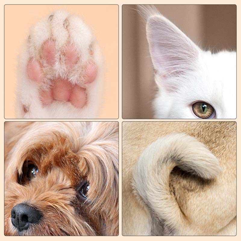 RadiaPaw™ — Transform Your Pet’s Paws into Soft, Spotless, Germ-Free Bliss