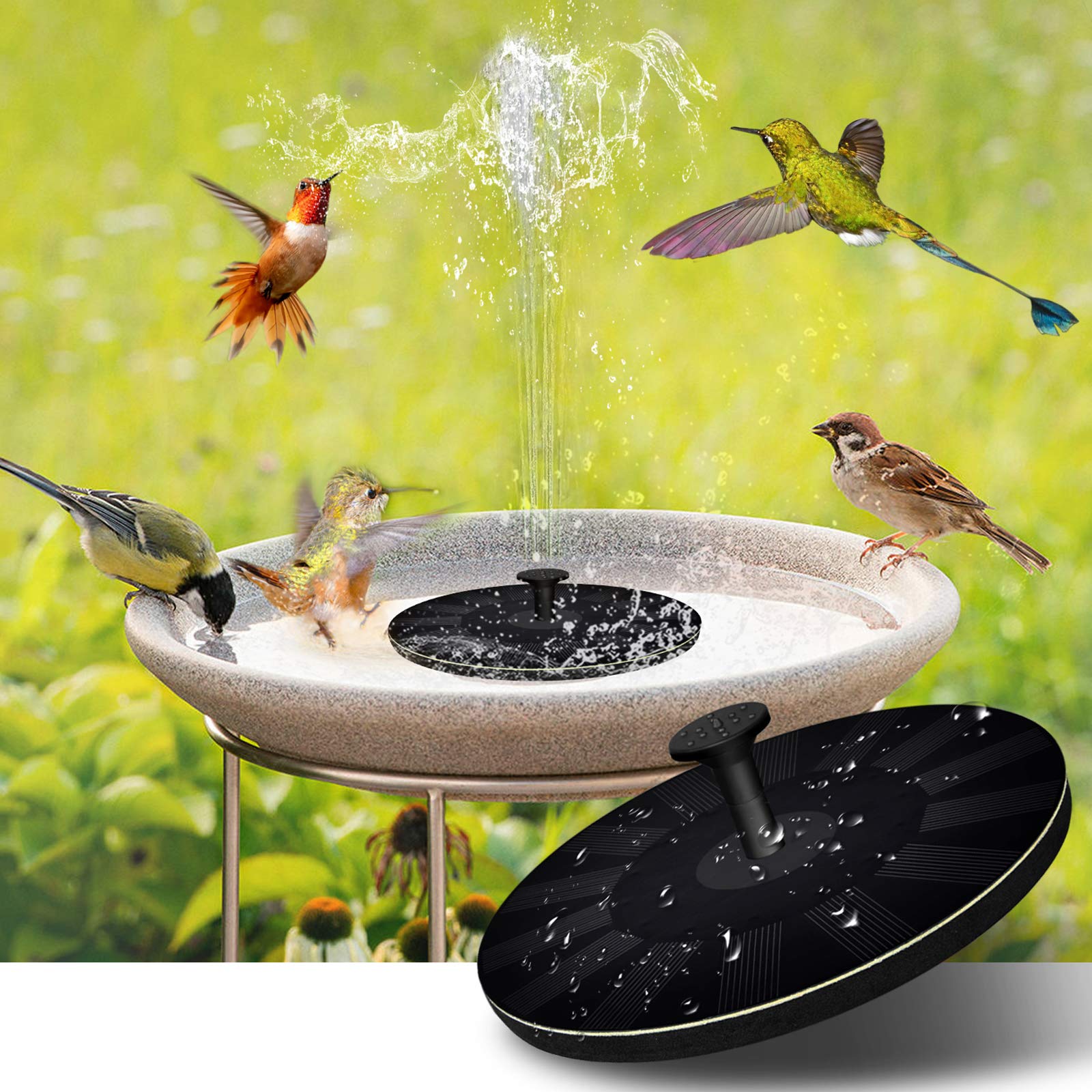 Solar Fountain – Enchant Your Garden with Lively Water Feature and Solar Power