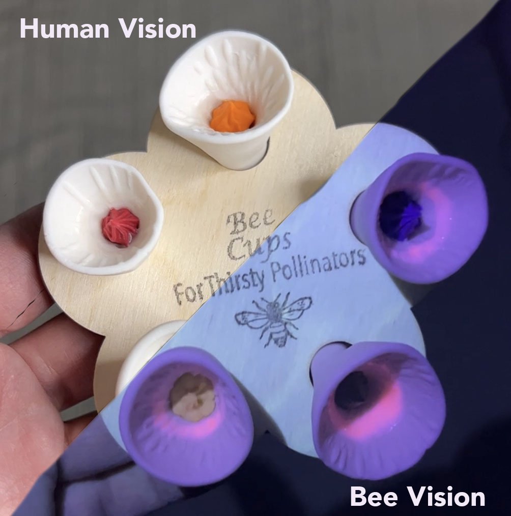 Bee Cups for a Vibrant Garden – Attract Pollinators and Enjoy Mosquito-Free Freshness