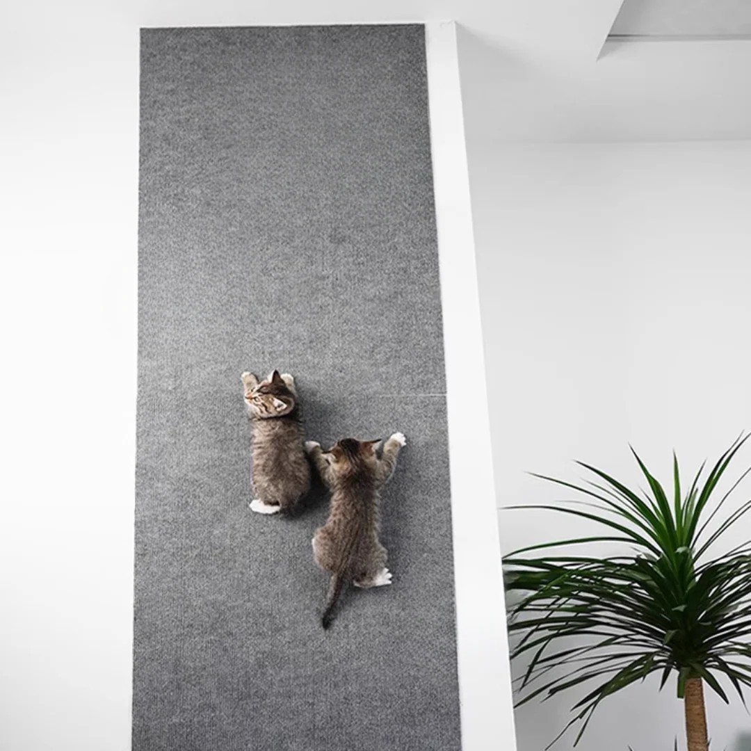 Transform Your Furniture into Cat-Friendly Comfort Zones Without Scratches