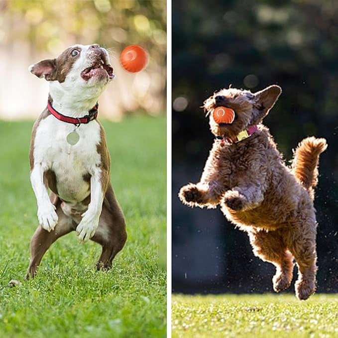 VitaPounce™ — Ignite Your Dog’s Wild Instincts with Endless, Hands-Free Play