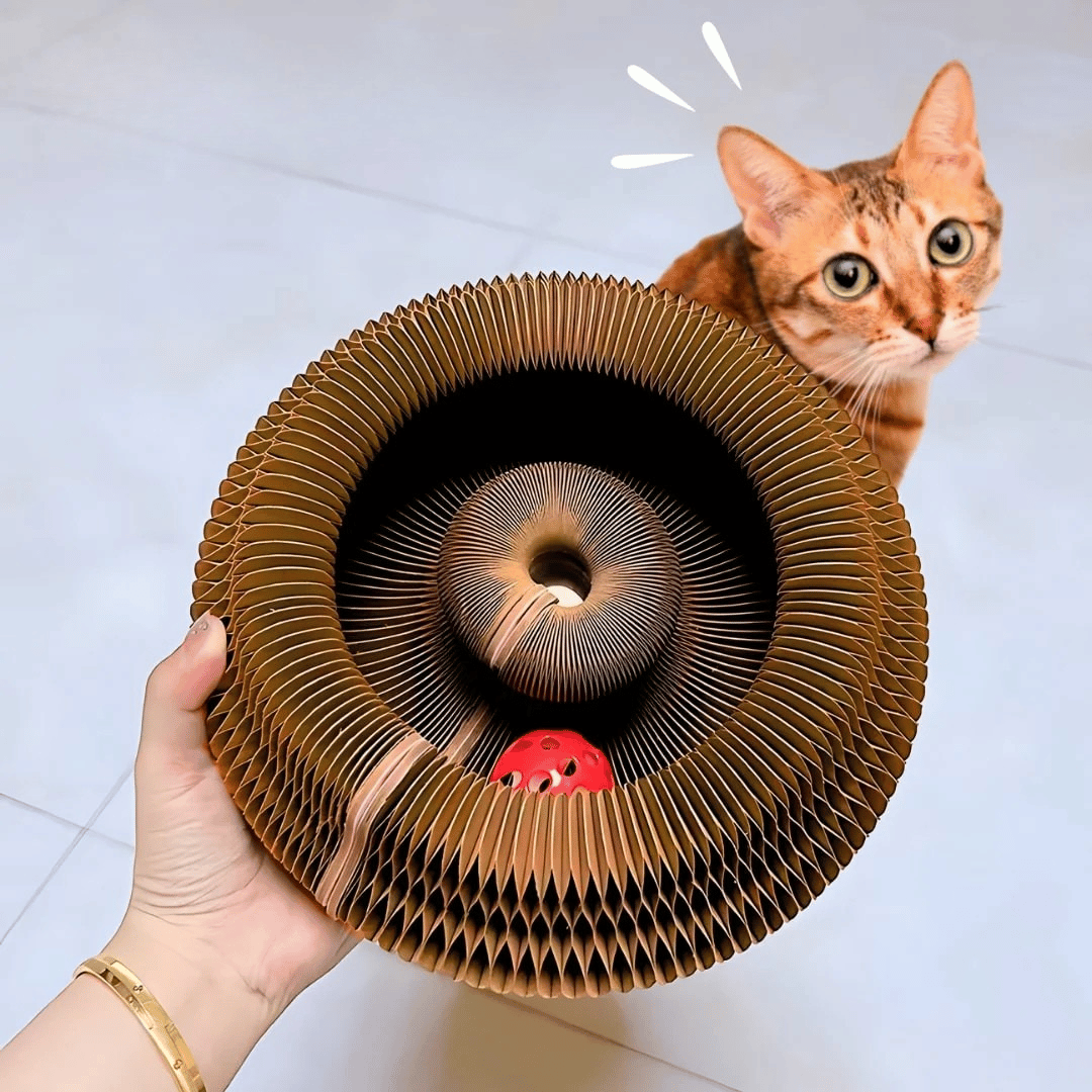 WhiskerWhirl™ — Turn Restless Paws Into Pure, Unstoppable Play Joy