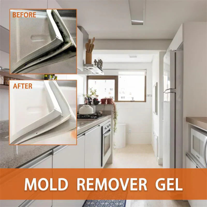 Buy One Get One Free | Mold Removal Solution for a Breathable Home