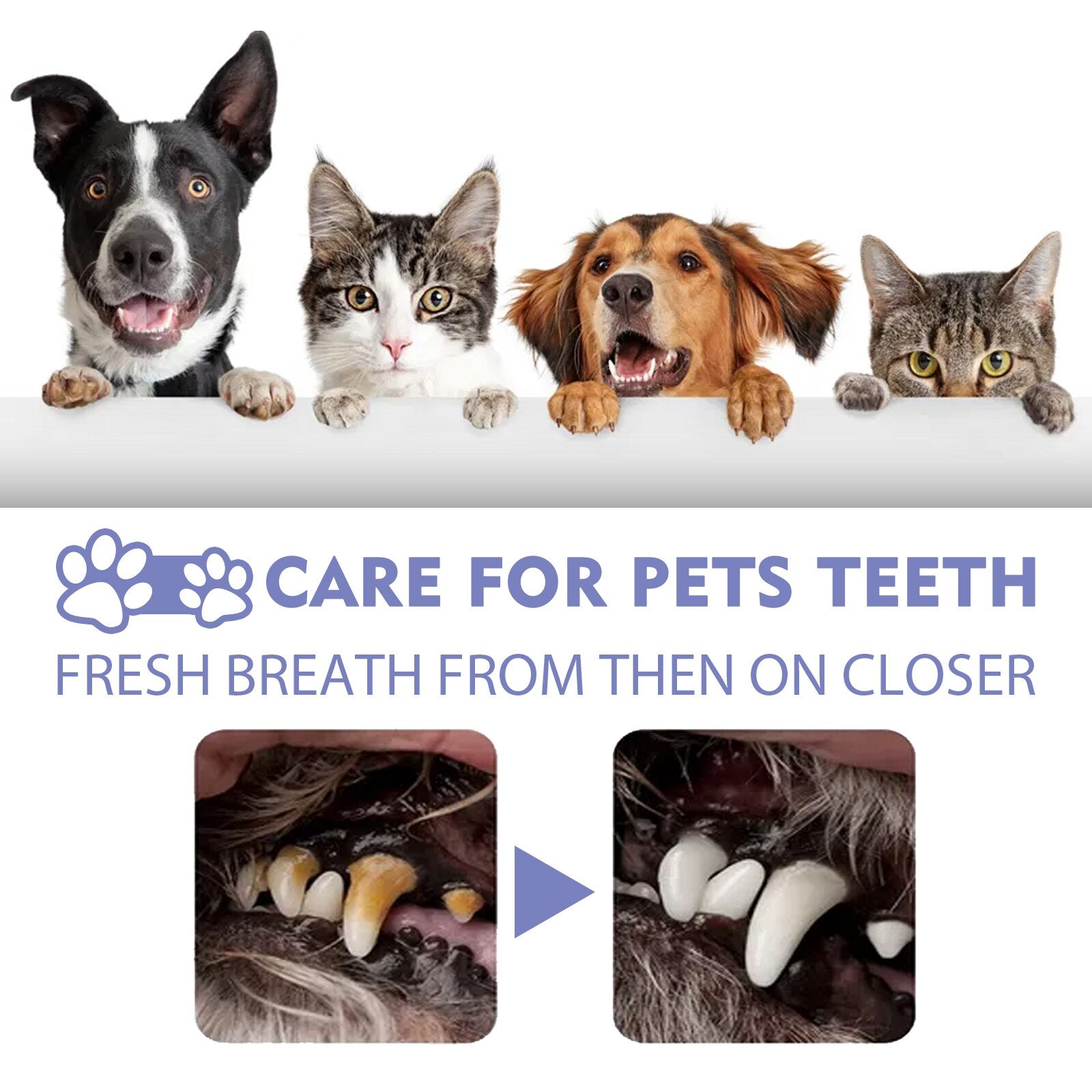 FreshPaws™ — Instantly Refresh Your Pet’s Breath for Closer, Happier Cuddles