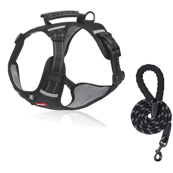 PawEase Harness - Enjoy Relaxed Walks Without Pulling and Maximum Comfort