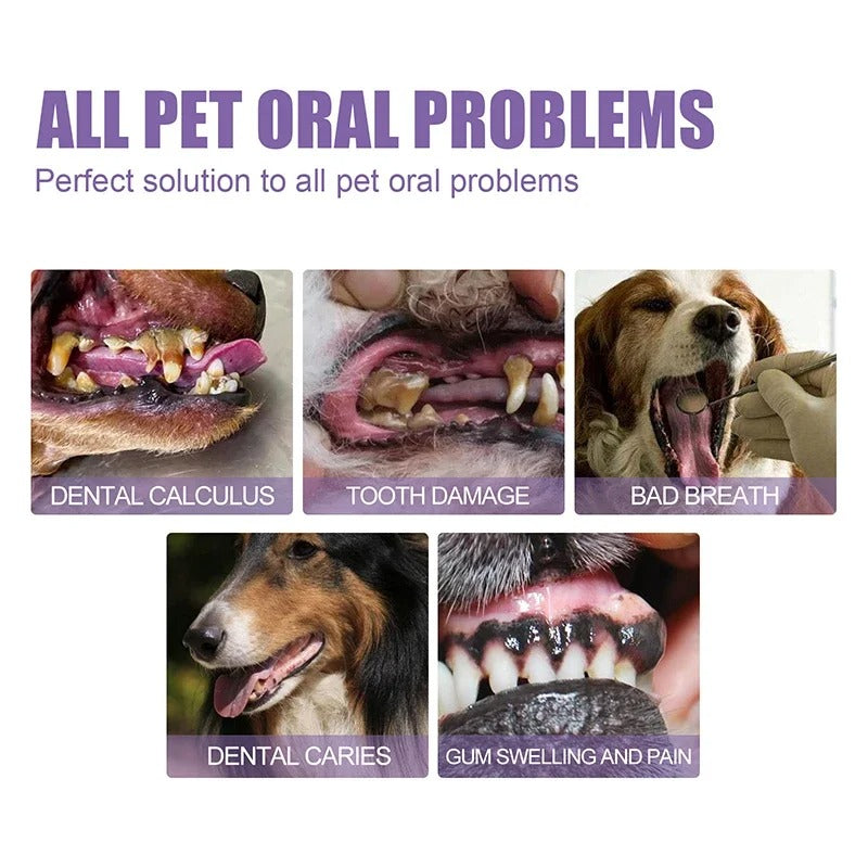FreshPaws™ Dental Gel — Transform Your Pet’s Smile with Soothing, Long-Lasting Freshness