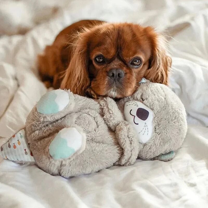 Soothing Plush Toy with Heartbeat and Sound Features – Otter