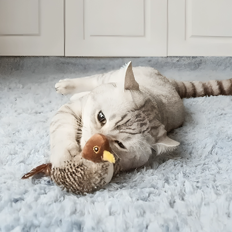 WildWhisk™ — Unleash Your Cat’s Inner Hunter for Endless Joy and Energy