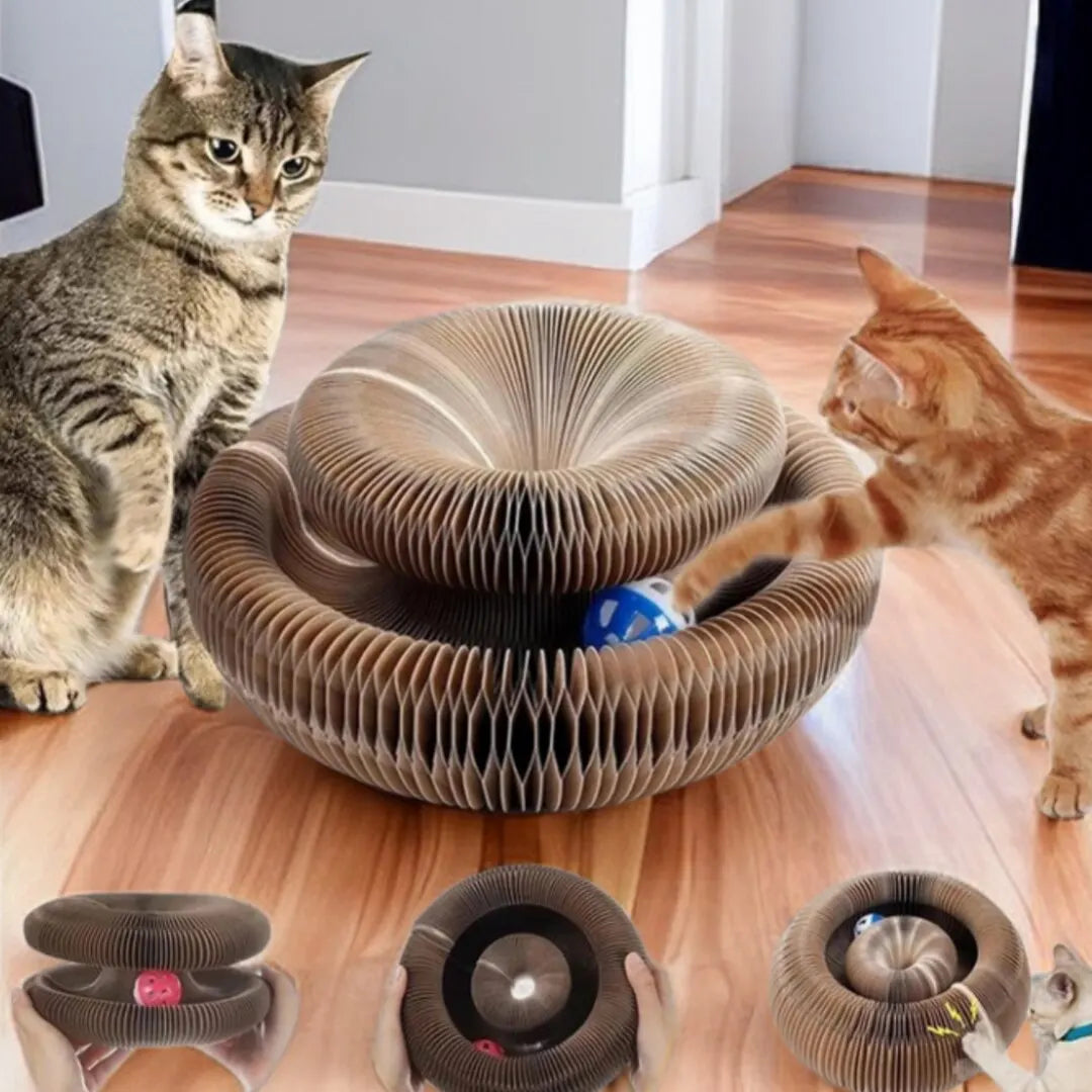 ClawNest™ — Ignite Your Cat’s Wild Side with Endless Play and Peaceful Homes