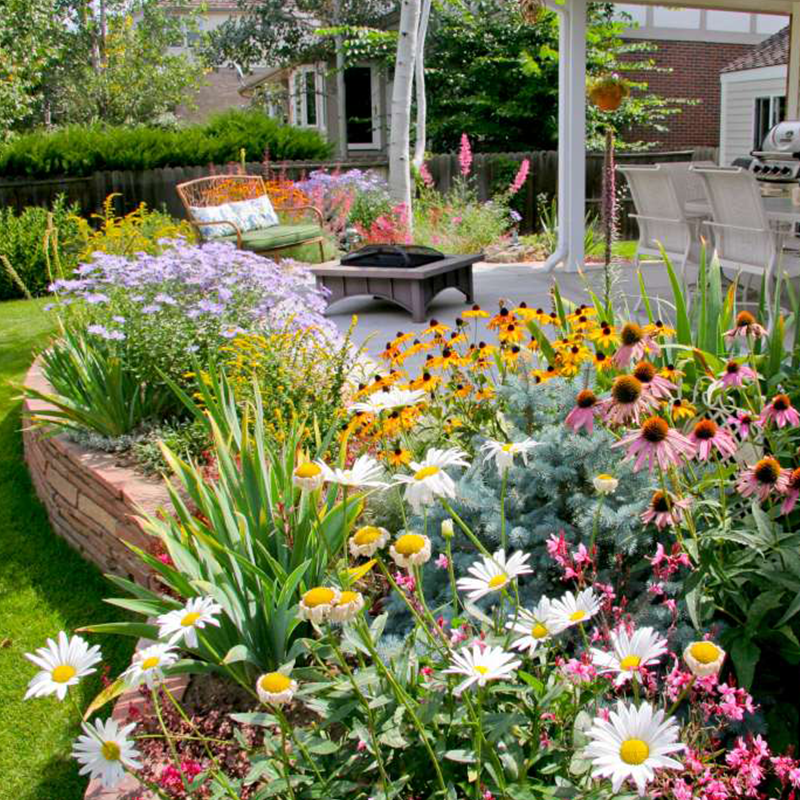 PerenniaBloom™ — Transform Your Yard Into a Never-Ending Festival of Color and Life