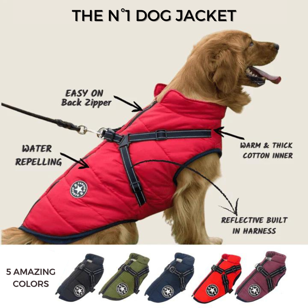StormPaw™ Weather Jacket — Keep Your Dog Warm, Dry, and Effortlessly Controlled on Every Adventure