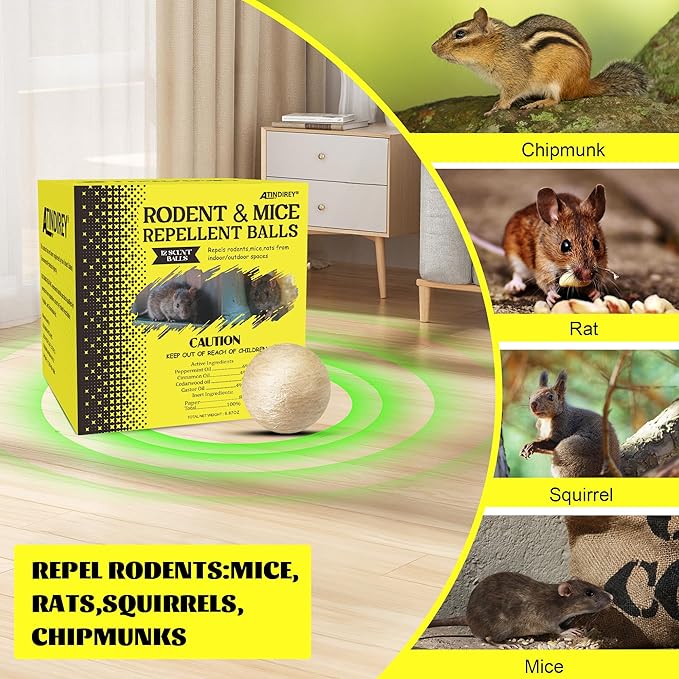 Natural Rodent Protection for a Pest-Free and Worry-Free Home