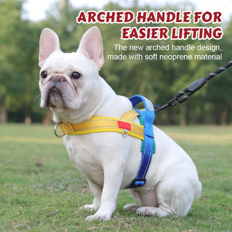 Comfort Harness for Dogs – Easy Wear and Unrestricted Freedom