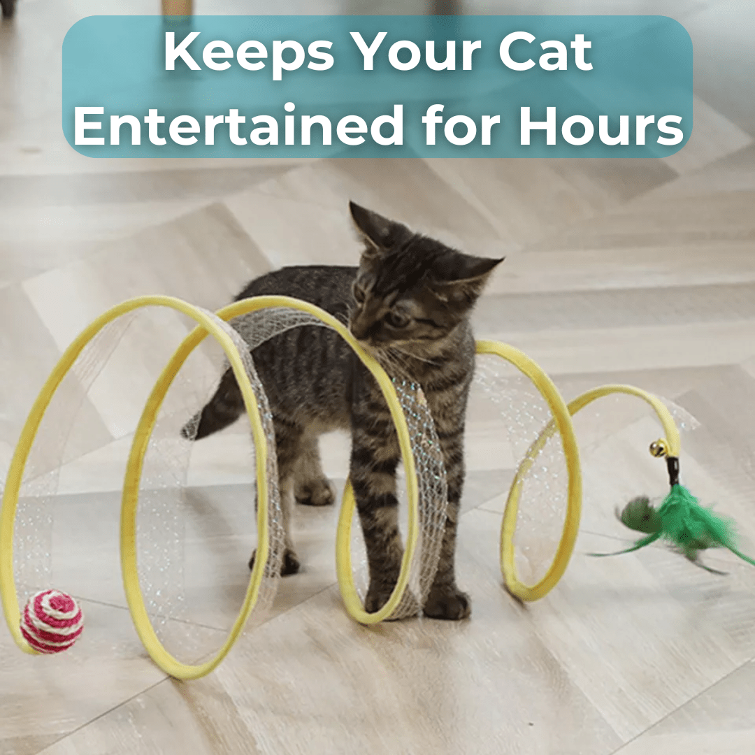 WhiskerWander™ — Ignite Your Cat’s Wild Play and Peaceful Home in Seconds