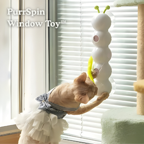 Carnivor™ — Ignite Your Cat’s Wild Instincts for Non-Stop Play and Sharp Focus