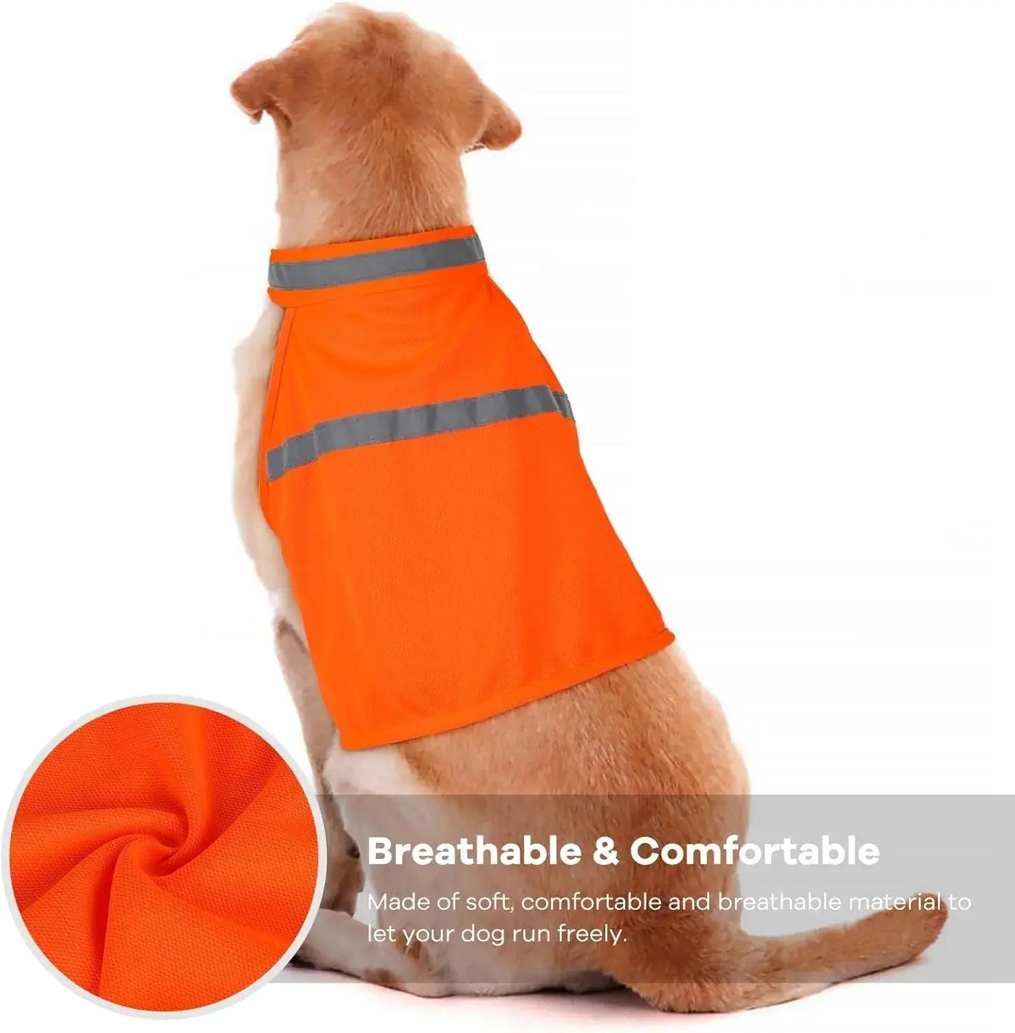 Reflective Safety Vest for Dogs – Make Your Pet Shine at Night