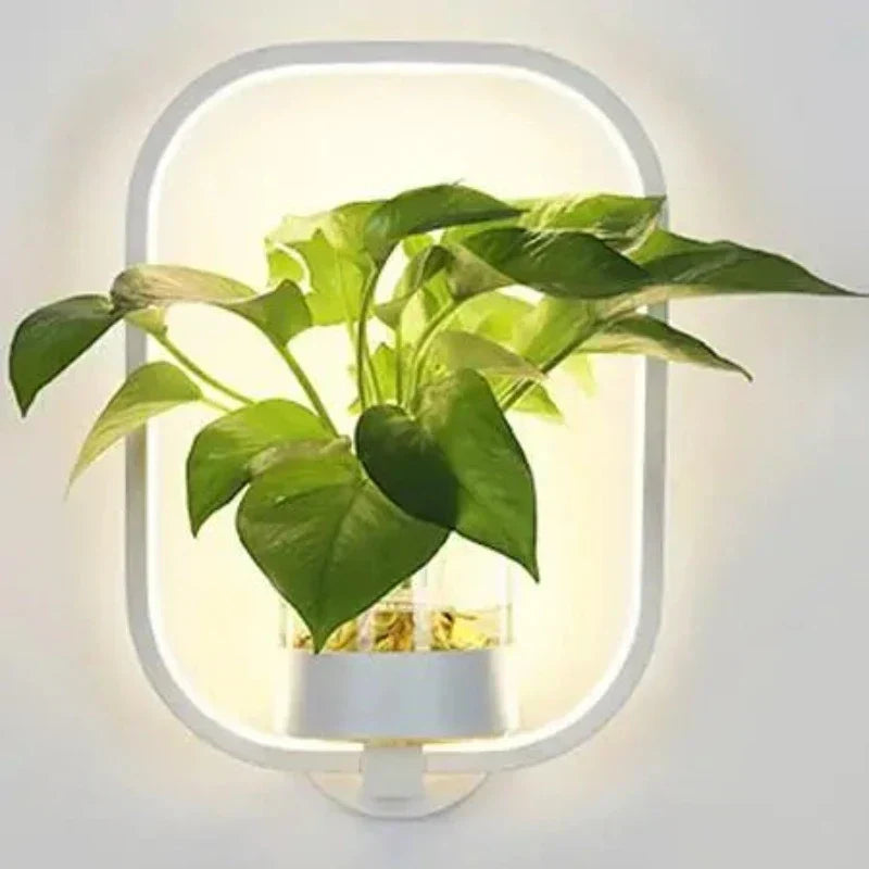 LED Botanical Wall Light with Glass Vase – Oval & Round