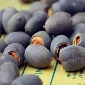 LotusRadiance™ — Ignite Your Pond with Stunning Blooms That Transform Your Garden Into a Serene Sanctuary