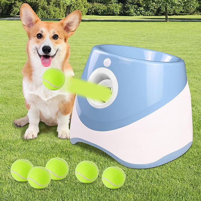 Unleash Endless Fun for Your Energetic Champion with PlayPulse