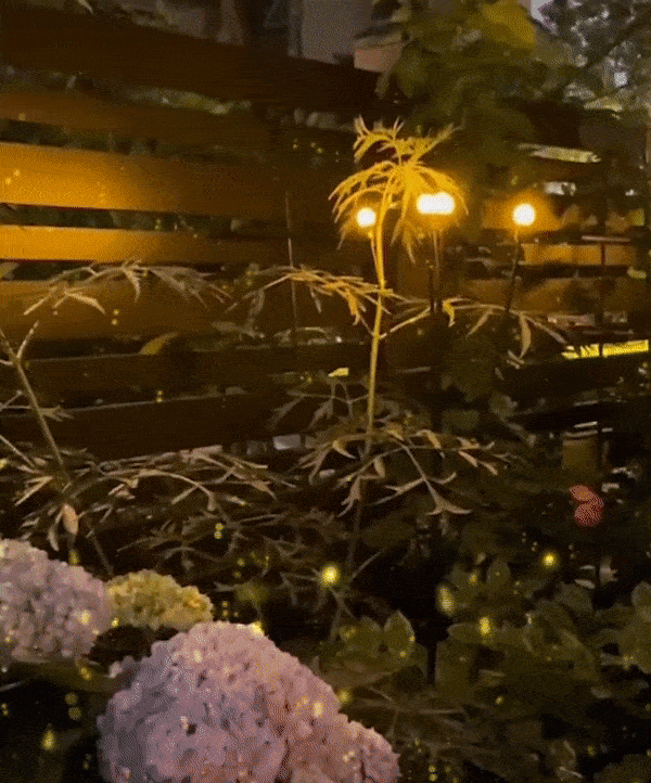 Arvilaros ParaGarden™ Solar Firefly Light with Auto Power ON/OFF Winterproof