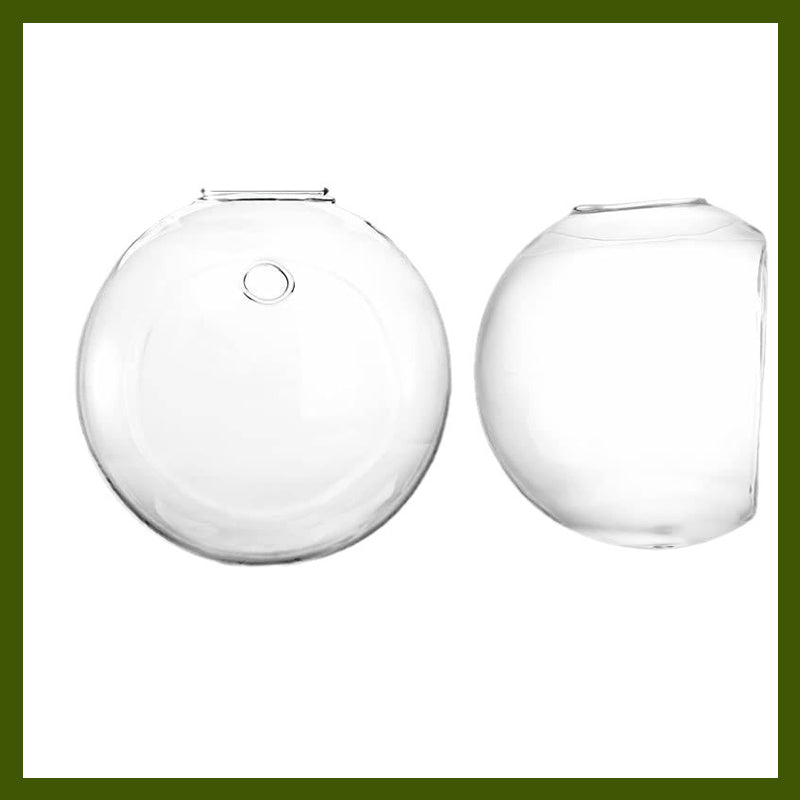 FloraFuse™ — Transform Walls Into Vibrant Oasis Without a Single Mark