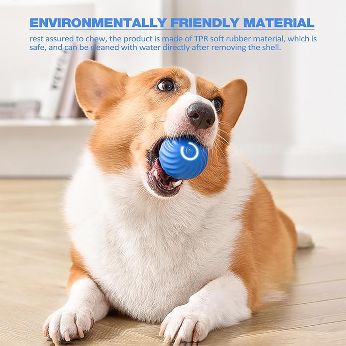 VitaPounce™ — Ignite Your Dog’s Wild Instincts with Endless, Hands-Free Play