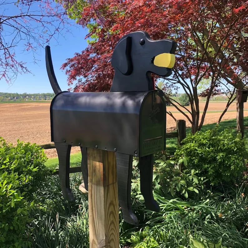 Horse Mailbox — Adds Irresistible Charm to Your Mail Station